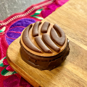 Brown Concha Mamut