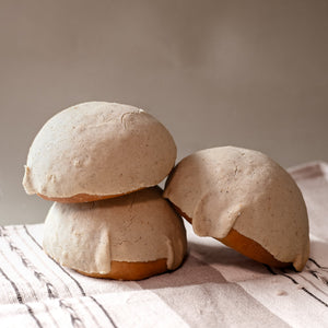 Concha de Pinole (Toasted Corn & Cinnamon Concha)